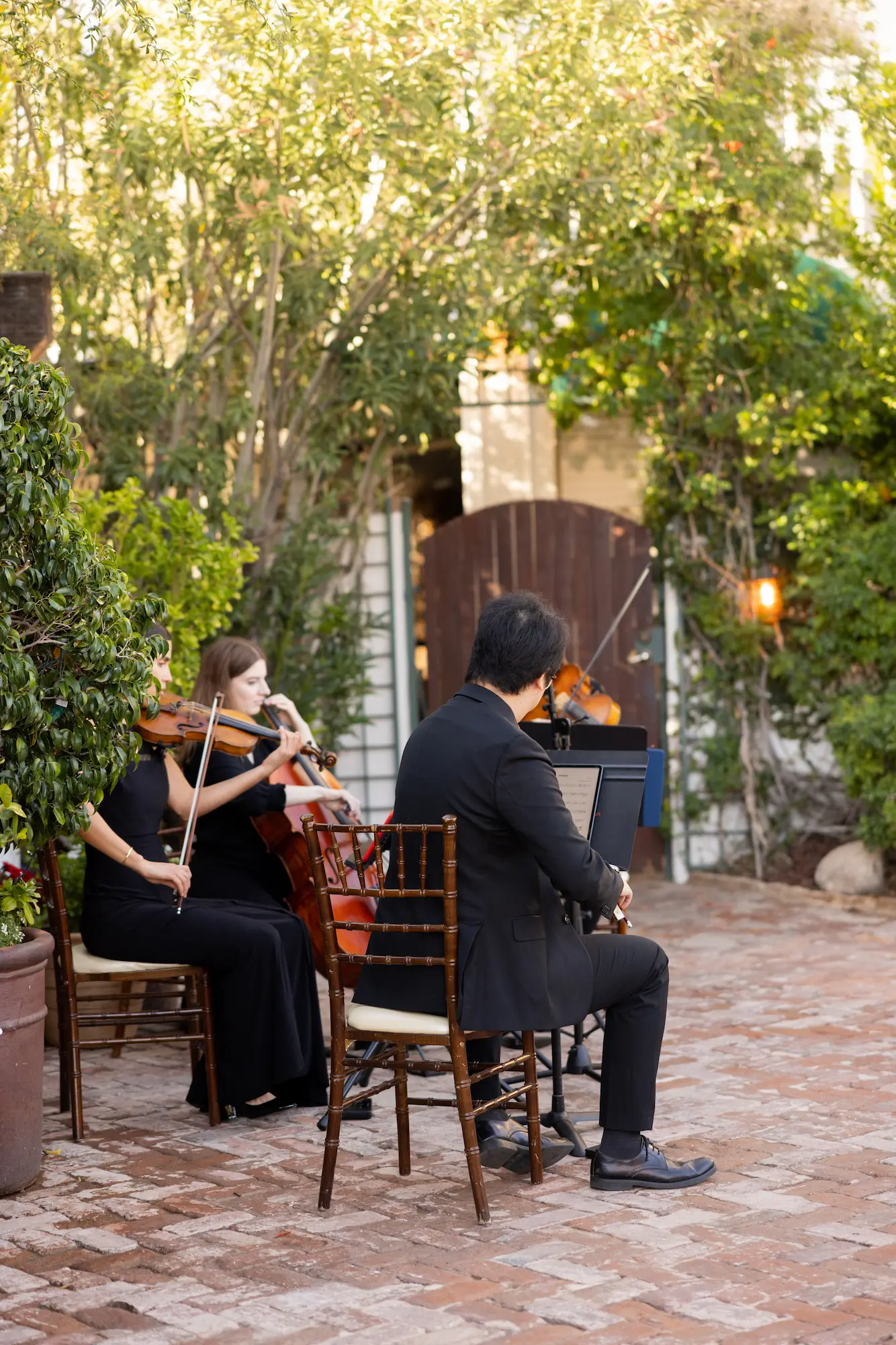 El Paso Sun City String Quartet